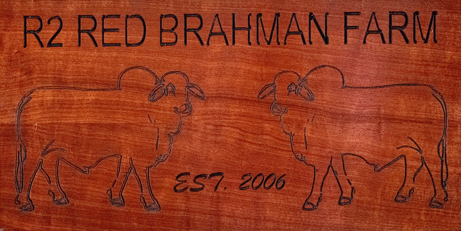 R2 Red Brahmans